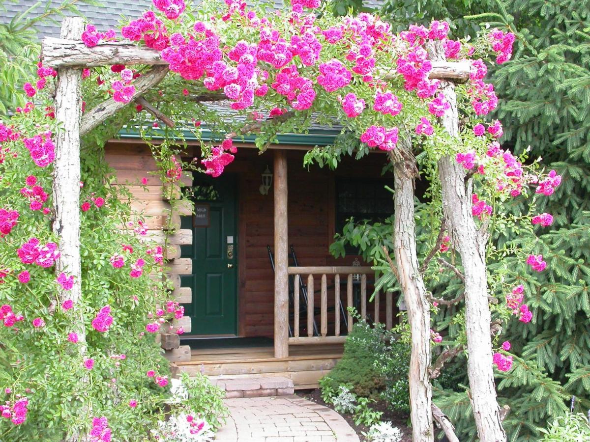 Wild Rose Cabin By Amish Country Lodging Millersburg Exterior photo